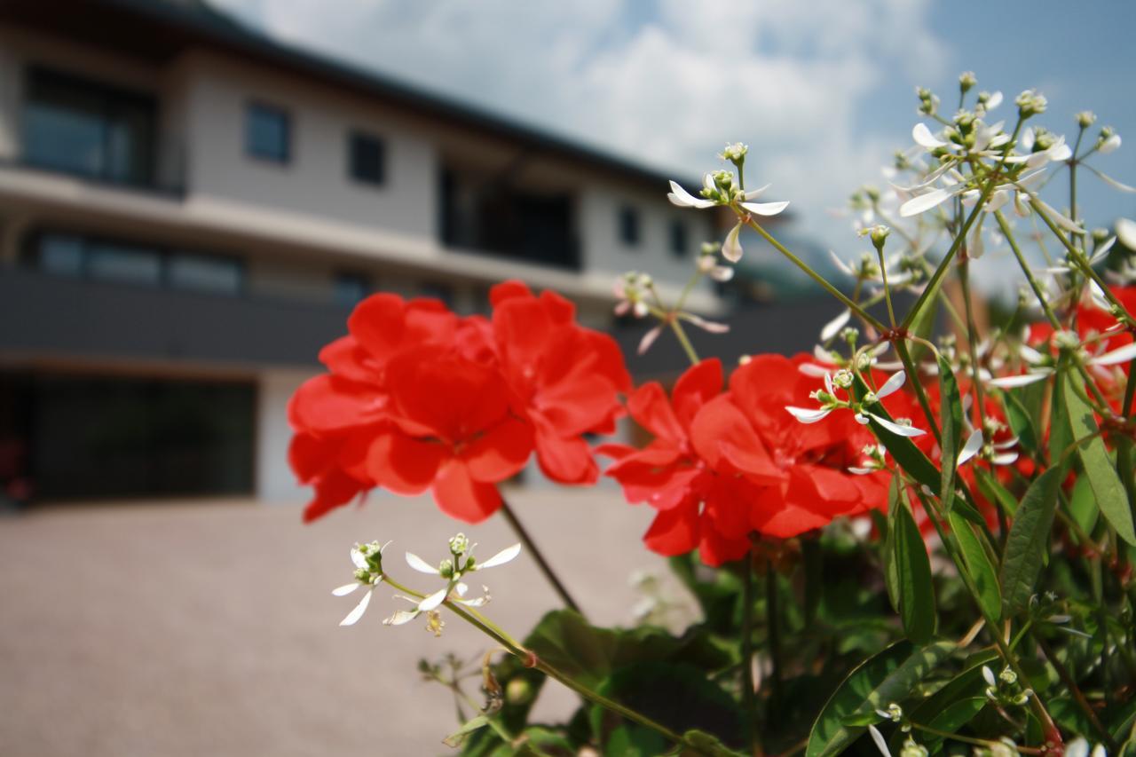 Tholr - Ferienwohnungen - Tramin Termeno Exterior foto